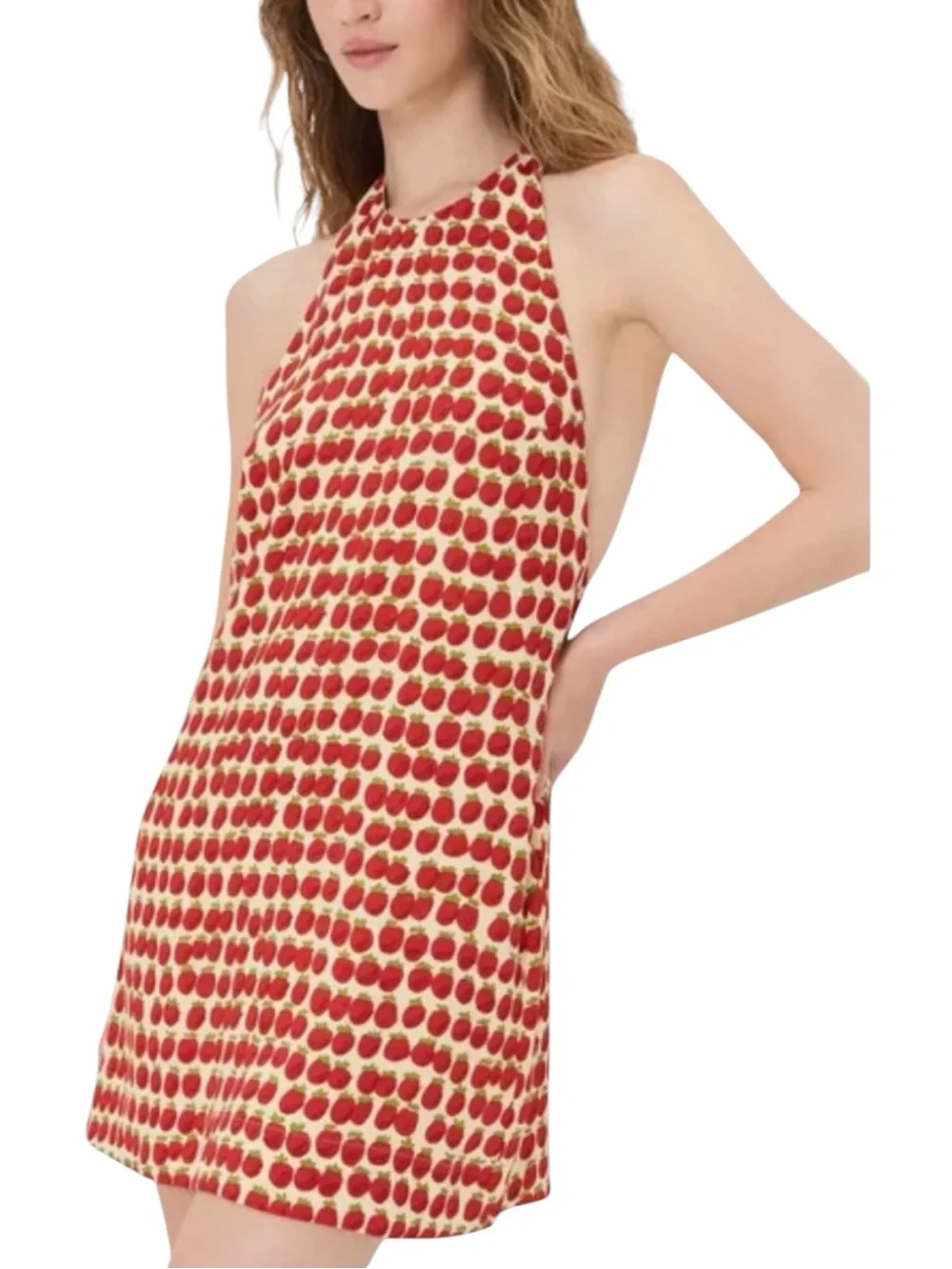 Reformation Avielle Dress Fresh Tomato Print Halter Mini Dress 4